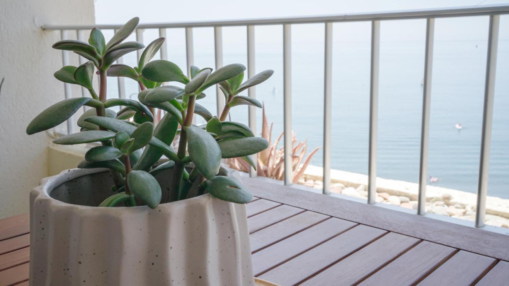 Almuñécar Apartamento Brisa Del Mar מראה חיצוני תמונה